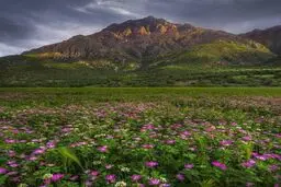 تصویری فوق العاده زیبا از طبیعت شگفت انگیز گچساران
