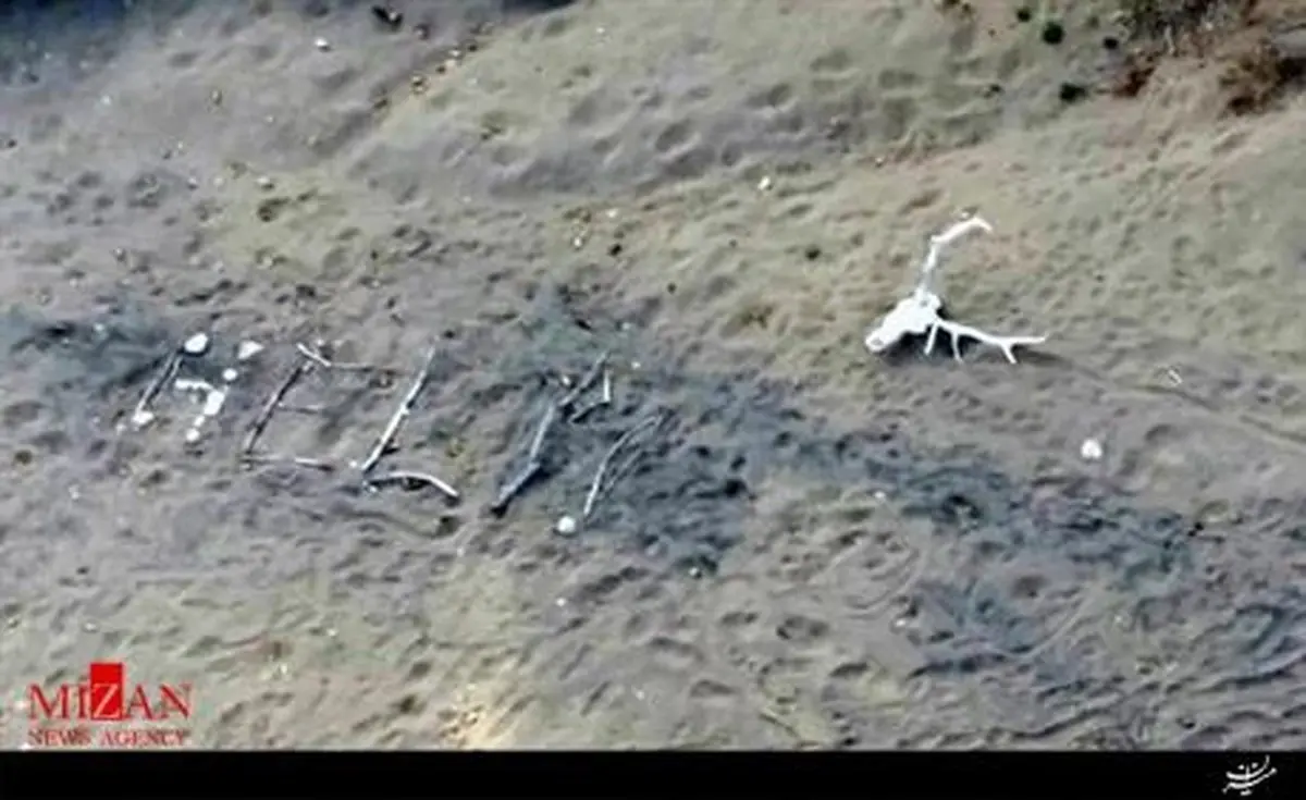 پیرزن امریکایی اینگونه خودش را از گم شدن در حنگل نجات داد/تصویر