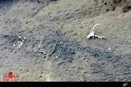 پیرزن امریکایی اینگونه خودش را از گم شدن در حنگل نجات داد/تصویر