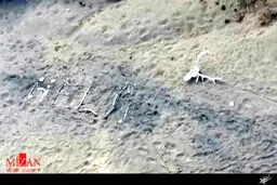 پیرزن امریکایی اینگونه خودش را از گم شدن در حنگل نجات داد/تصویر