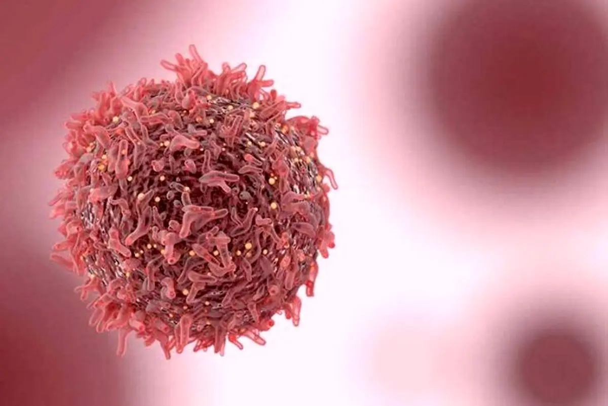 5 سپر مقاوم خوراکی در برابر سرطان!