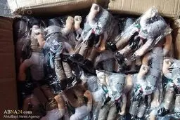 هراس رژیم صهیونیستی از عروسک‌های فلسطینی / عکس