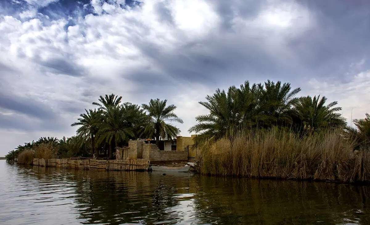 فصل خوش خوزستان را ببینید/ تصاویر