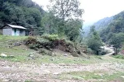 یک دبستان کوچک در گیلان/تصاویر