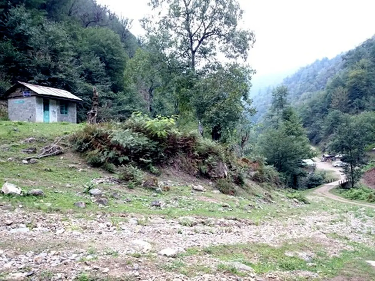 یک دبستان کوچک در گیلان/تصاویر