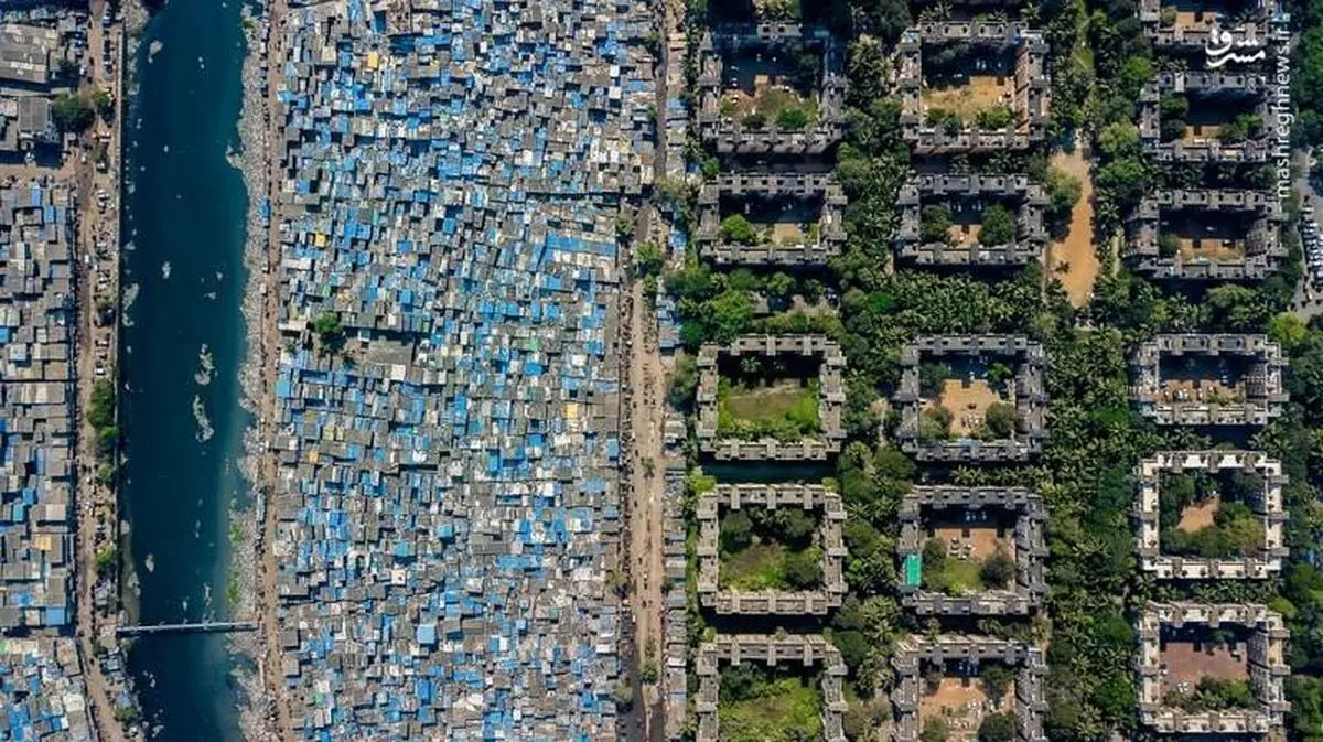 مرز فقر و ثروت در یک نگاه / عکس