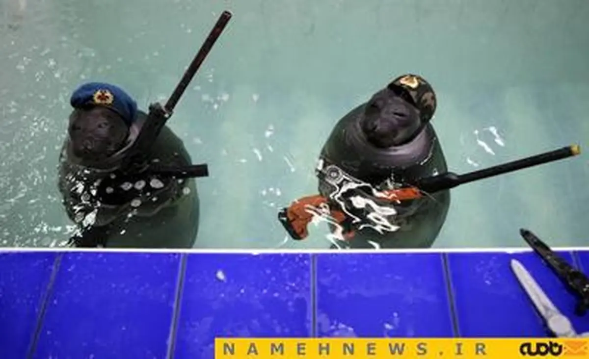 حیواناتی با خلق و خوی انسان‌ها+تصاویر