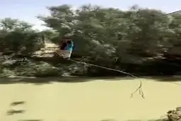 ببینید: ویدئویی از شرایط نامساعد ساکنان منطقه دشتیاری سیستان و بلوچستان برای عبور از رودخانه