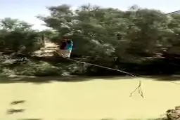ببینید: ویدئویی از شرایط نامساعد ساکنان منطقه دشتیاری سیستان و بلوچستان برای عبور از رودخانه