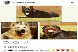 پست اینستاگرامی عجیب جادوگر+عکس