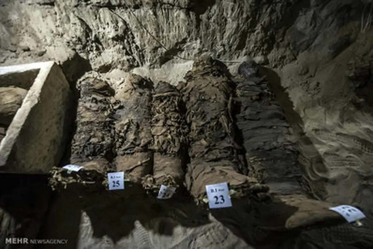 کشف یک گور دسته جمعی با اجساد 2300 ساله/تصاویر