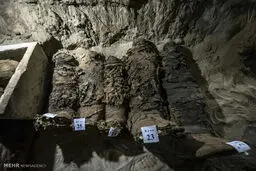 کشف یک گور دسته جمعی با اجساد 2300 ساله/تصاویر