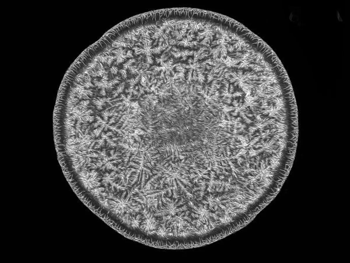 تصویر دیدنی و جالب از قطره اشک انسان زیر میکروسکوپ