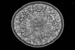 تصویر دیدنی و جالب از قطره اشک انسان زیر میکروسکوپ