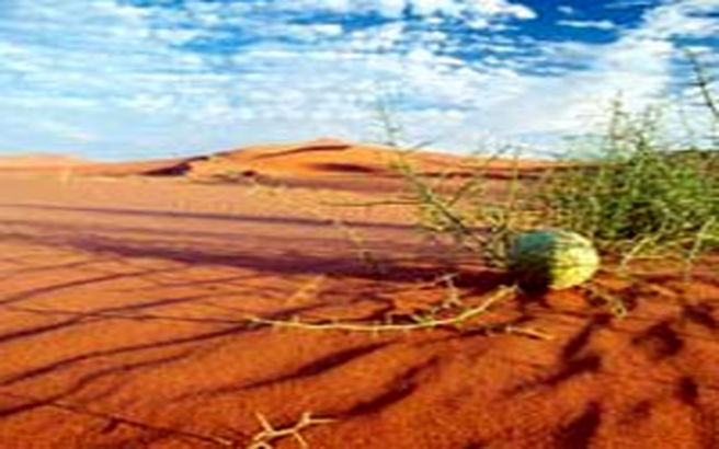 ايران ركورددار فرسايش زمین در جهان