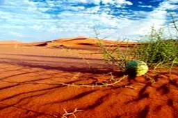 ايران ركورددار فرسايش زمین در جهان