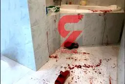 شکل دقیق جسد میترا استاد در دادگاه تشریح شد/ دختر نجفی عکس جسد را انداخته بود+ عکس وان خونین