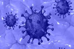 تشخیص کووید-۱۹ با کمک یک حسگر مبتنی بر کاغذ