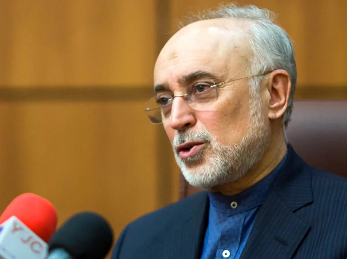 صالحی: اقدام بازرس آژانس را در راستای «استاکس‌نت» می‌دانیم / هدف ایران حفظ برجام است