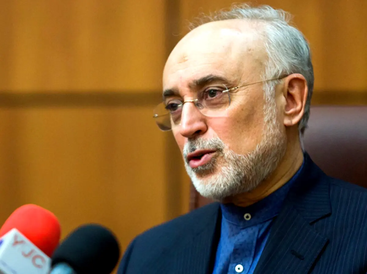 صالحی: اقدام بازرس آژانس را در راستای «استاکس‌نت» می‌دانیم / هدف ایران حفظ برجام است