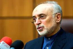 صالحی: اقدام بازرس آژانس را در راستای «استاکس‌نت» می‌دانیم / هدف ایران حفظ برجام است