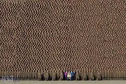 نظم ارتش کره شمالی را اینجا ببینید/ عکس