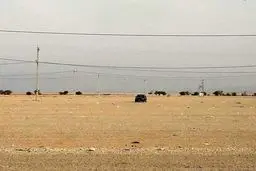 تنها خودرو جامانده از اربعین در پارکینگ مهران / عکس