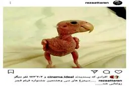 کنایه رضا عطاران به سیمرغ جشنواره فجر