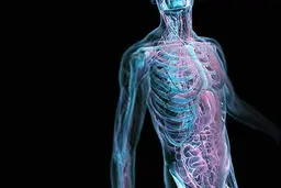 10 ترفند جالب درمورد بدن شما برای اینکه راحت تر زندگی کنید