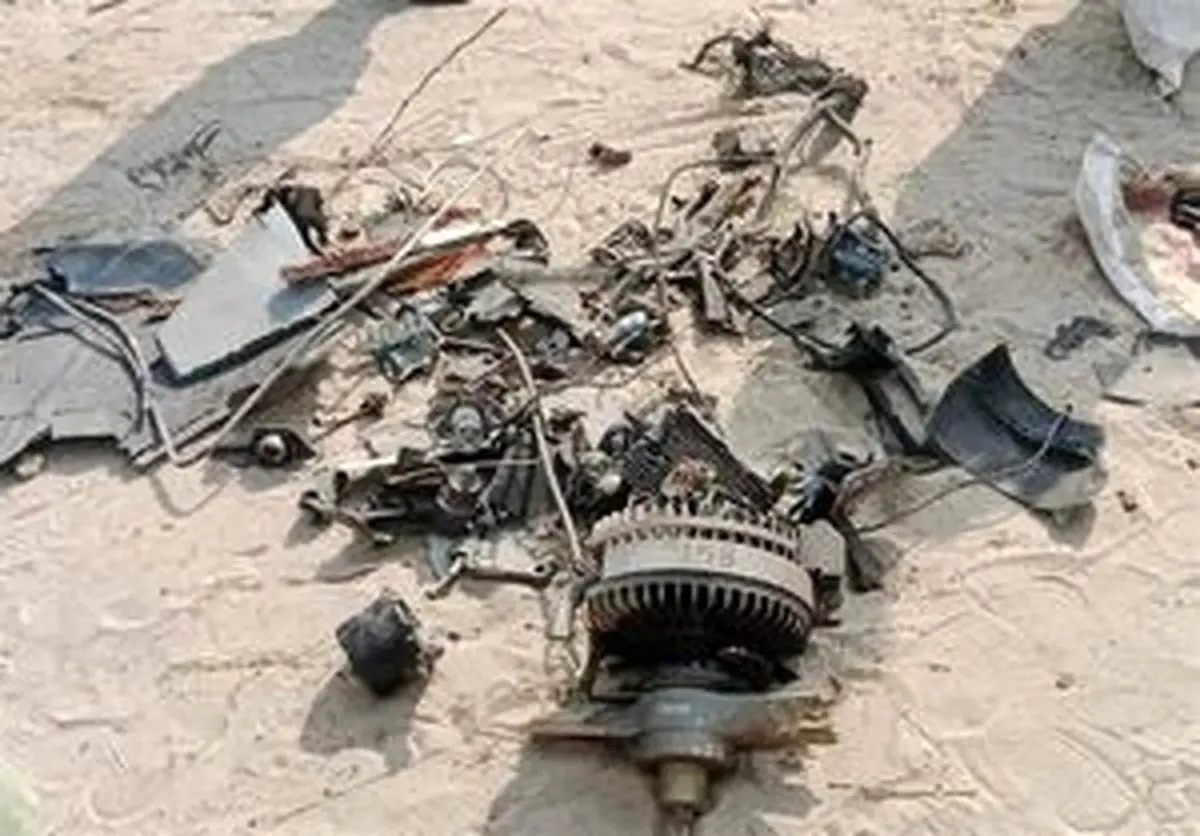 هشدار به تل‌آویو از قلب مشهد؛ ریزپرنده‌های رژیم صهیونیستی شکار شدند!