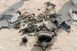 هشدار به تل‌آویو از قلب مشهد؛ ریزپرنده‌های رژیم صهیونیستی شکار شدند!