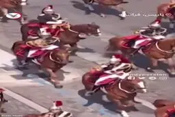 ببینید | زخمی شدن افسر فرانسوی بر اثر زمین خوردن اسب در حین رژه