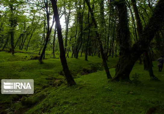 «هفت آبشار» تیرکن