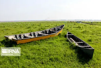 تالاب انزلی
