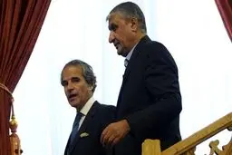 گروسی با اسلامی دیدار کرد