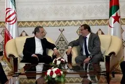 گزارش سخنگوی وزارت خارجه از سفر عراقچی به الجزایر