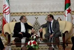 گزارش سخنگوی وزارت خارجه از سفر عراقچی به الجزایر