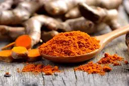 این ادویه مخصوص نابودی ویروس

