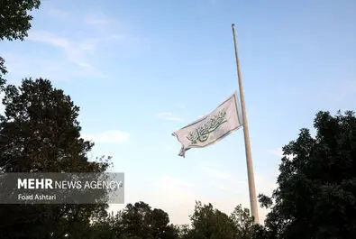 پرچم علوی