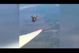 فیلم تلاش یک عقاب طلایی برای فرود بر بال یک هواپیمادر آسمان