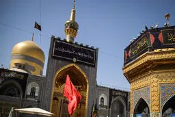  امام رضای غریب ...