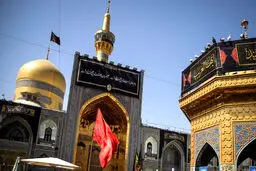 امام رضای غریب ...