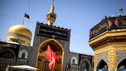  امام رضای غریب ...