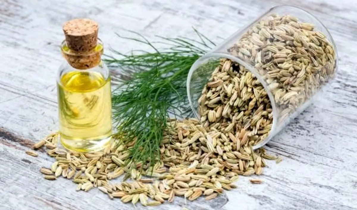 خواص شگفت انگیز عرق رازیانه / چه کسانی باید حتما عرق رازیانه بخورند