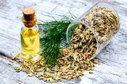 خواص شگفت انگیز عرق رازیانه / چه کسانی باید حتما عرق رازیانه بخورند