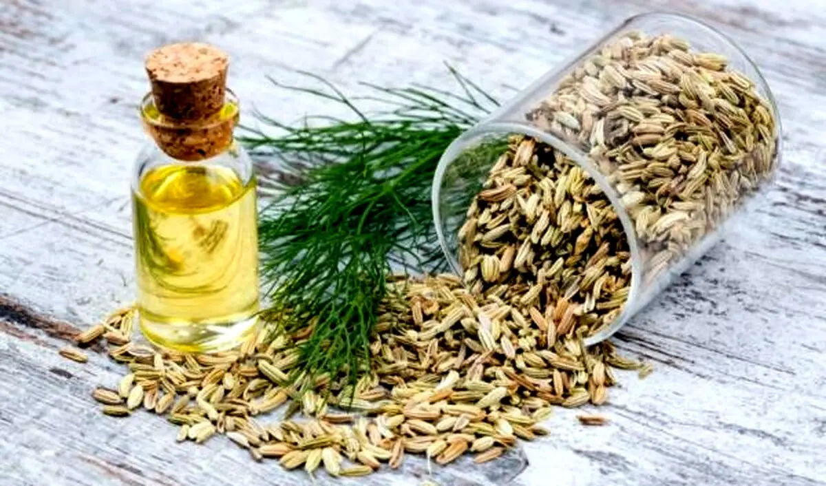 خواص شگفت انگیز عرق رازیانه / چه کسانی باید حتما عرق رازیانه بخورند