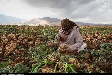 روز کارگر