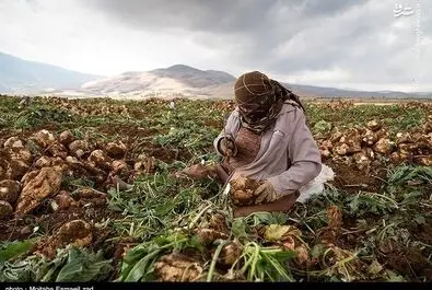 روز کارگر