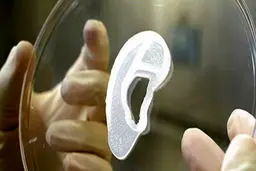 ببینید | بازسازی اعضای بدن توسط دانشمندان ایرانی