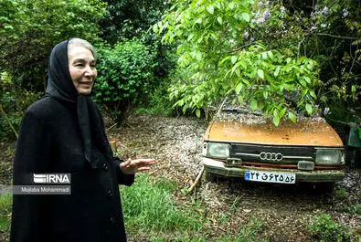 پروانه معصومی